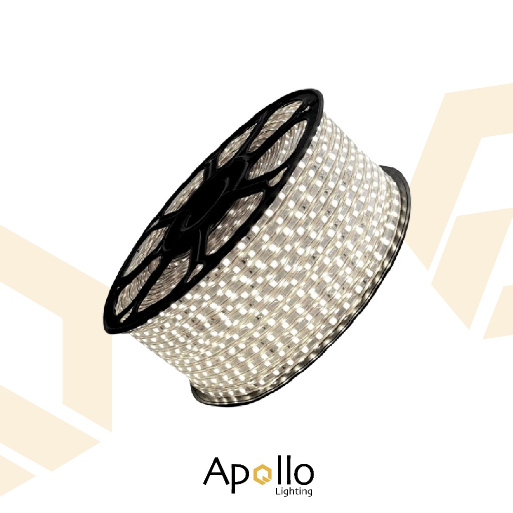 Fita Mangueira Led 100 Metros 220v ＋ Fonte de Alimentação IP65 em Oferta na Shopee