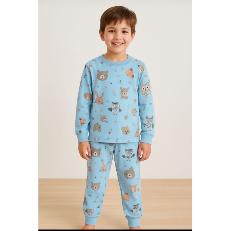 Conjunto Pijama menino manga longa 100% algodão estampas sortidas.