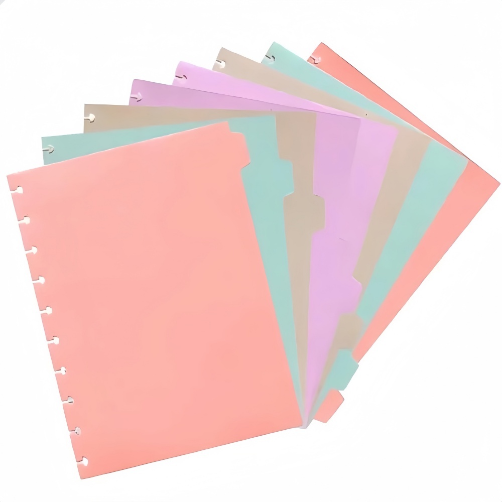 Kit 8 Peças Divisórias Coloridas Para Caderno Inteligente B5 10 Discos