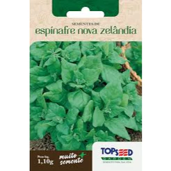 Semente Espinafre Nova Zelândia Topseed