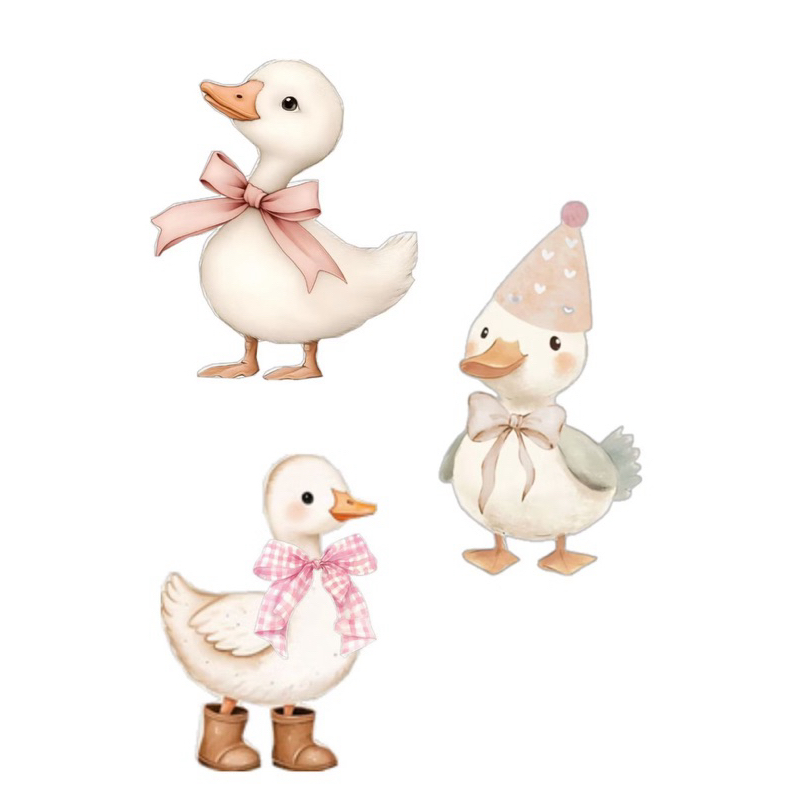 Kit displays Patos em Oferta na Shopee