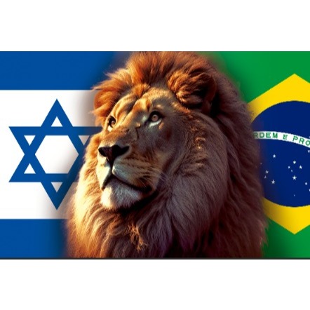 Bandeira Israel x Leao de Juda x Brasil -  Grande Cetim com Acabamento 150x1,00 em Oferta na Shopee