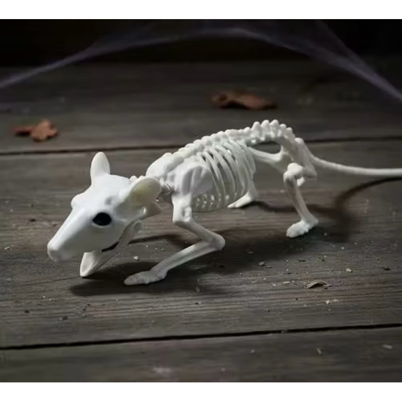 RATO ESQUELETO | ESQUELETO DE RATO | WALLOWEEN