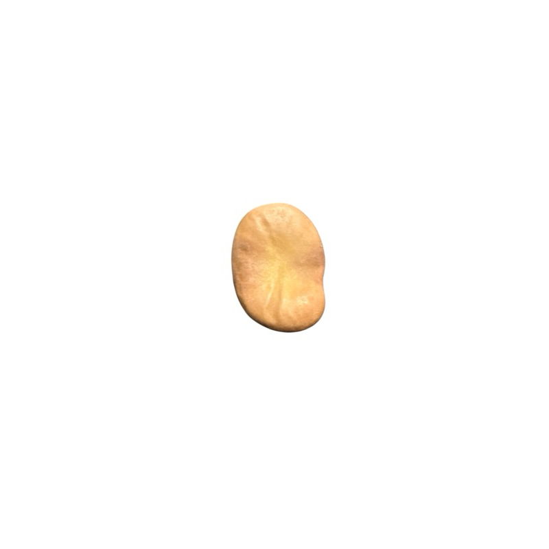 Fava de Iansa Oya Unidade/ 3 Unidades/ 9 Unidades Assentamento Umbanda Candomblé Quimbanda