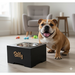 Comedouro Pet Para Cães De Porte Médio Personalizado Com O Nome em Oferta na Shopee