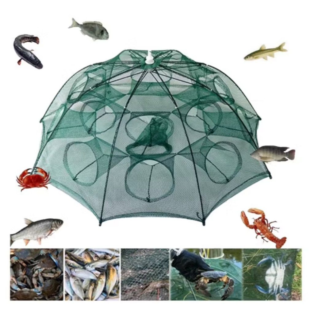 Armadilha de Lambari: Onde Comprar | BuscaProdutos