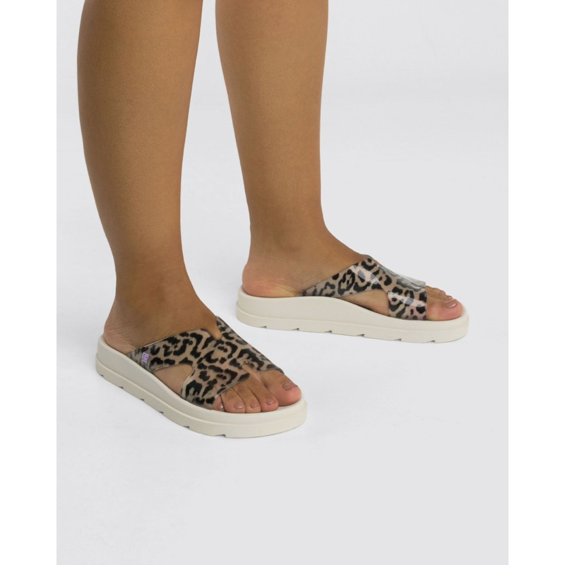 Chinelo Slide Daily New Zaxy