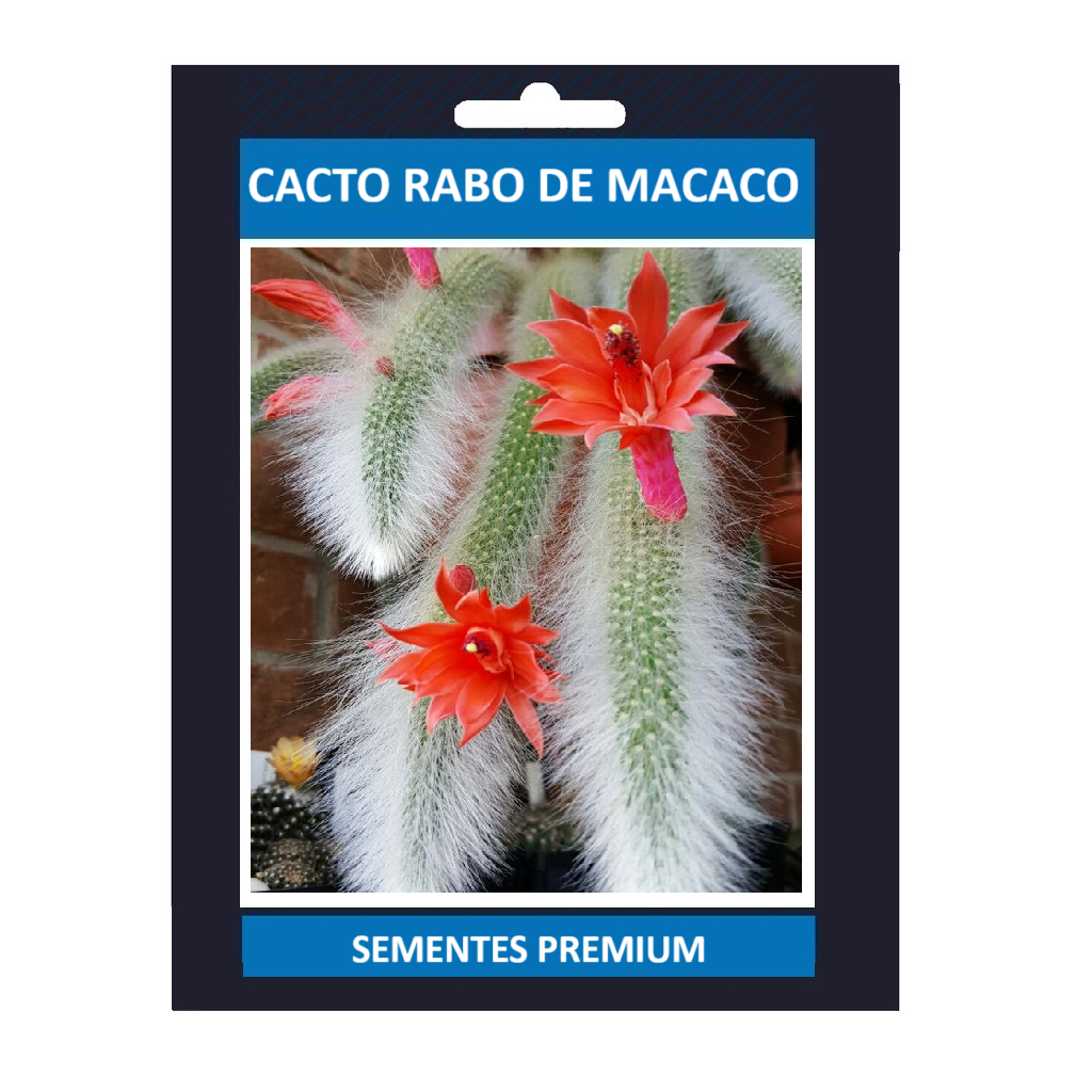 OPORTUNIDADE 100 sementes cacto rabo de macaco gigante com manual de cultivo pronta entrega envio em 24h Premium OPORTUN