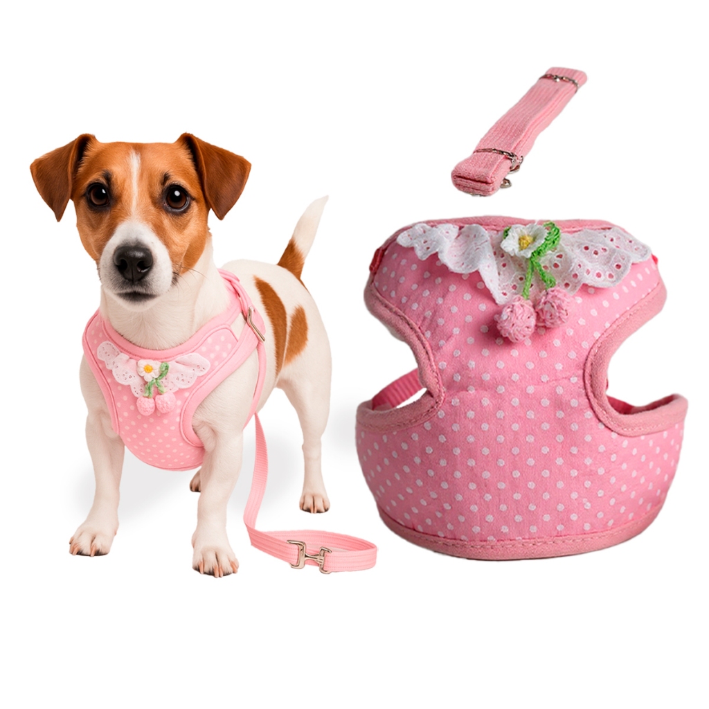 Guia Rosa para Cachorro: Onde Comprar | BuscaProdutos