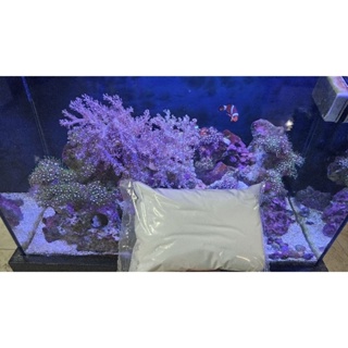 Sal Marinho á Granel 1kg  Veromar Corais Aquários Àgua SaLgada em Oferta na Shopee