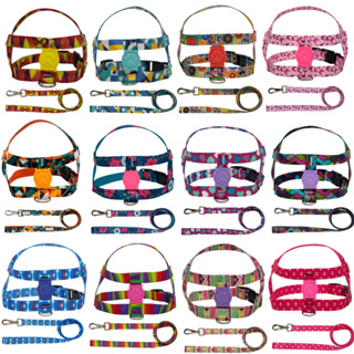 coleira Cachorro peitoral cartela atacado com Guia luxo pet cão em Oferta na Shopee