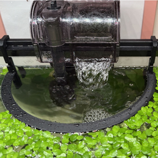 Anel Flutuante para Hang On em Aquário Plantado | Evita que Plantas e Peixes Sejam Sugadas Aquarismo em Oferta na Shopee
