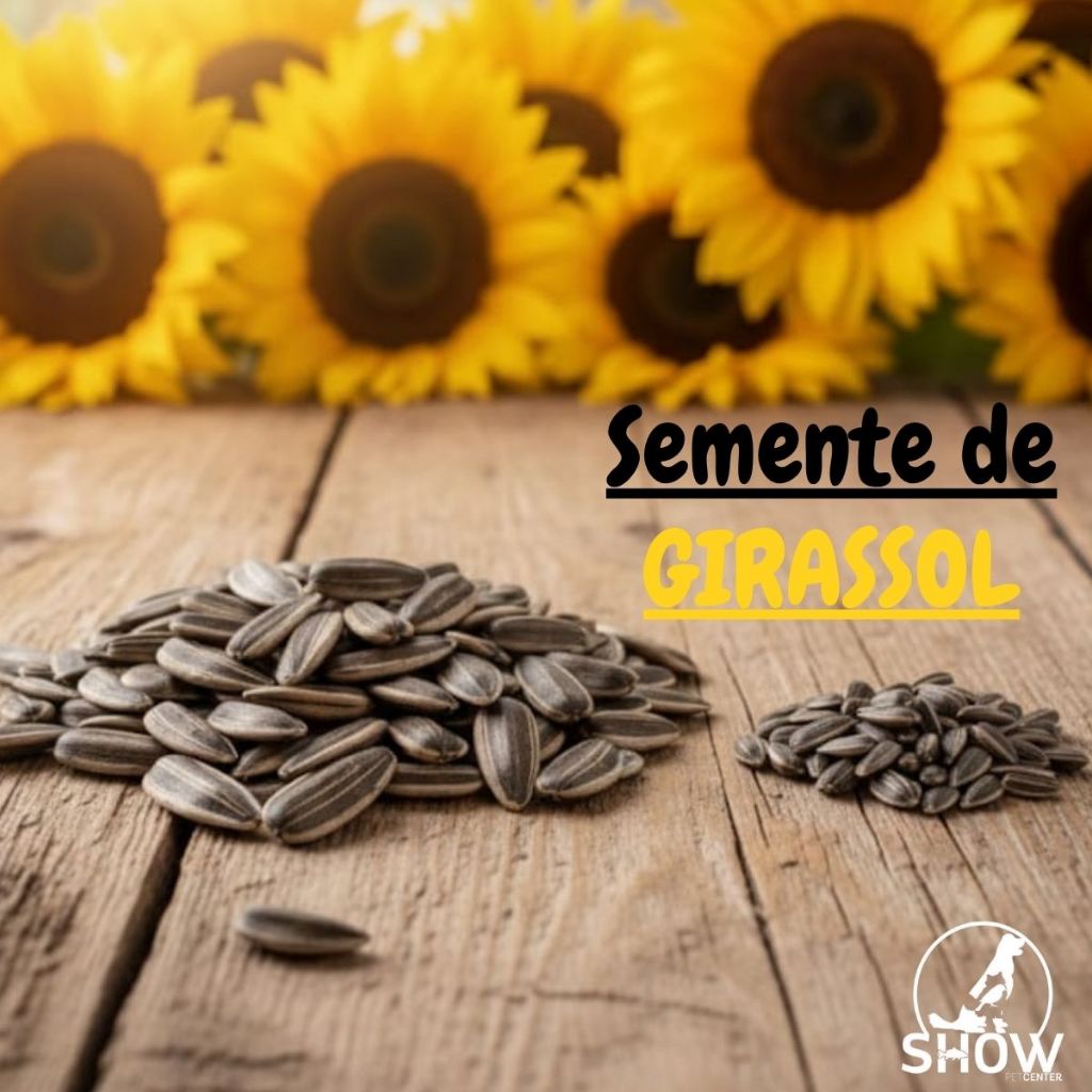 Semente de Girassol Premium para Pássaros | Alimento Energético e Selecionada para Calopsitas, Papagaios, Trinca-Ferro