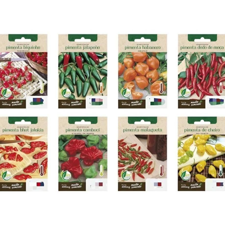 Muda de Pimenta Malagueta - Comprar com Melhor Preço em Essenciais para Culinária