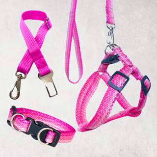 KIT COMPLETO ESTILO AMERICANO - PEITORAL AJUSTÁVEL, COLEIRA, GUIA E CINTO DE SEGURANÇA em Oferta na Shopee