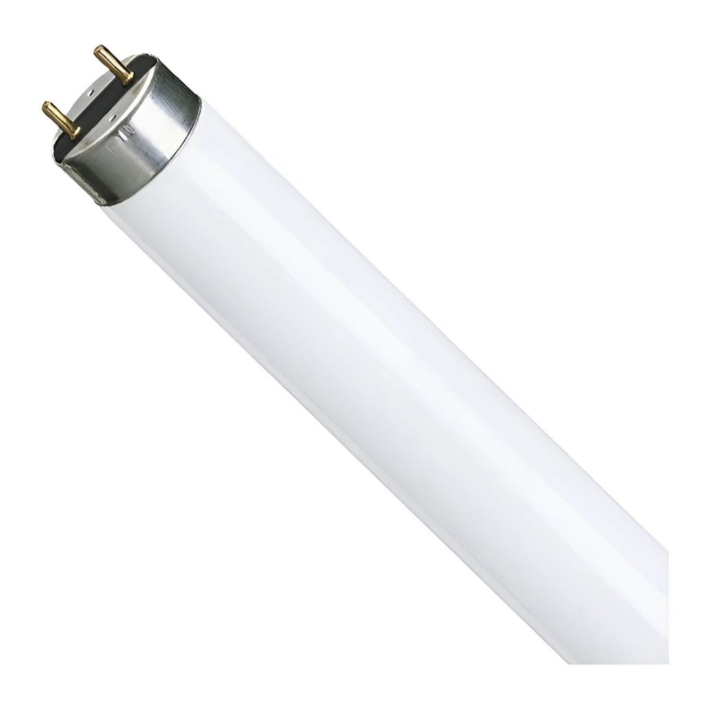 Lâmpada Fluorescente 10w 35cm Tubular T8 Luz Do Dia