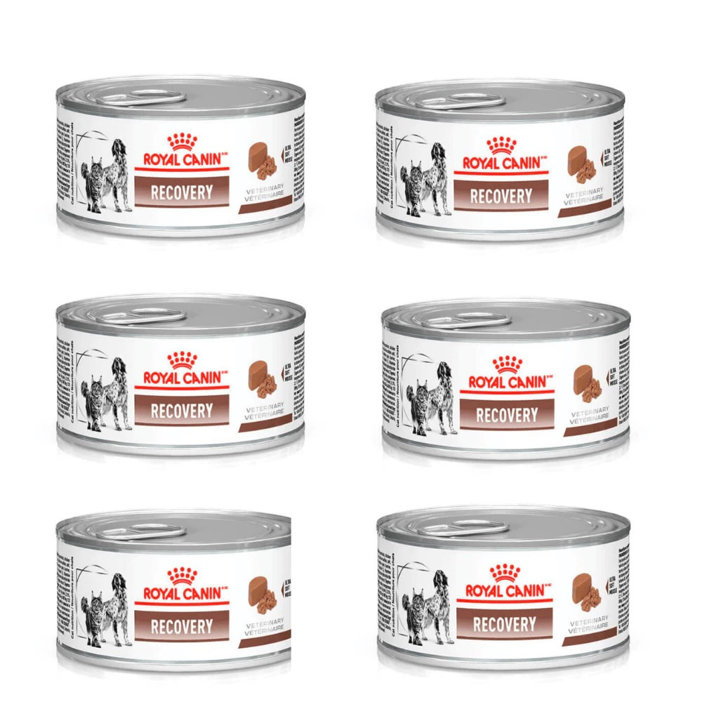 Kit 6 Unidades Royal Canin Recovery 195g Alimento Úmido Cães e Gatos em Recuperação | Lata Original em Oferta na Shopee