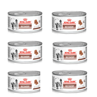 Kit 6 Unidades Royal Canin Recovery 195g Alimento Úmido Cães e Gatos em Recuperação | Lata Original em Oferta na Shopee