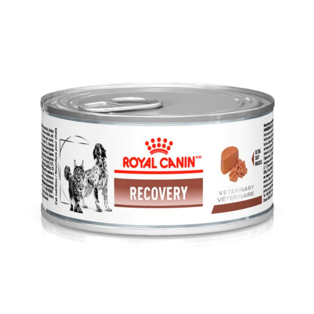 Royal Canin Recovery 195g – Alimento Úmido Cães e Gatos em Recuperação | Lata Original em Oferta na Shopee