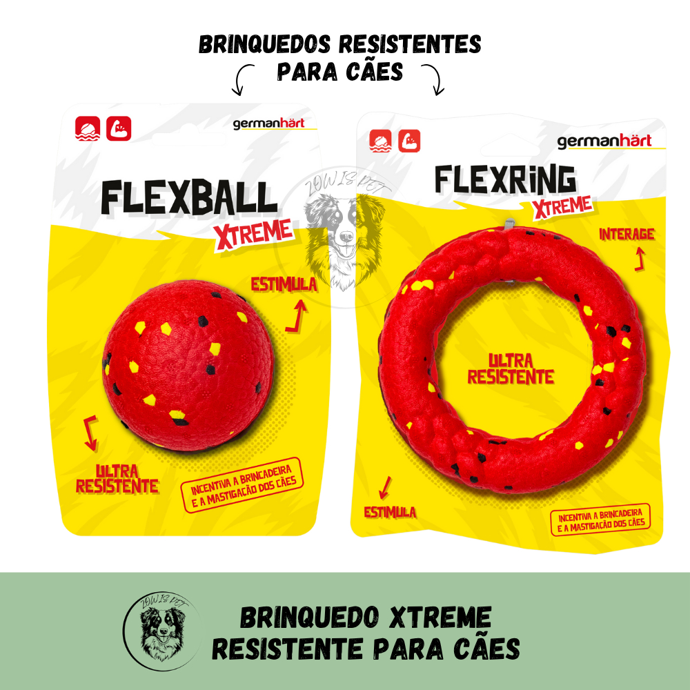 Brinquedo Flutuante para Cães: Onde Comprar | BuscaProdutos