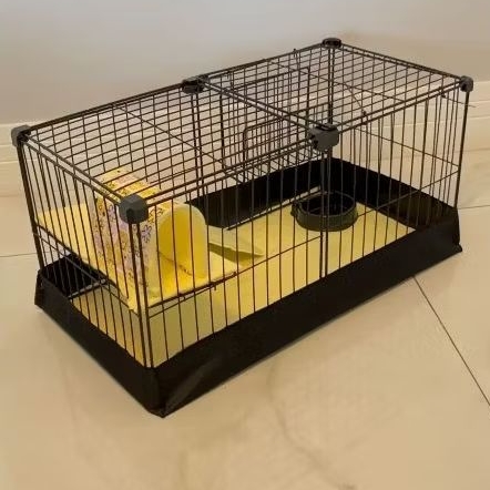 Cercado Para Porquinho da Índia, Chinchila, Com Comedouro, Toca, Manta Pet e Bandeja Impermeável