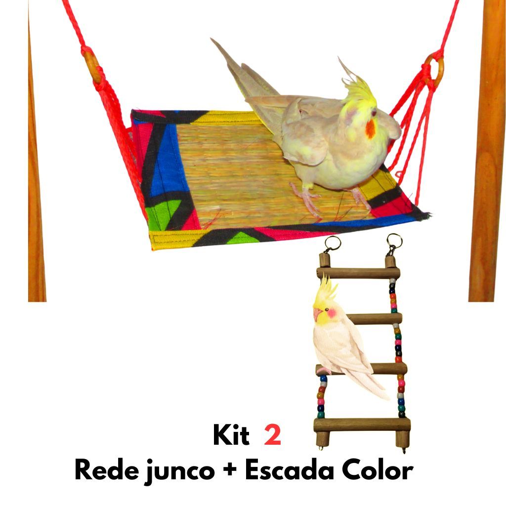 Kit 2Brinquedos Para Calopsita Redinha + Escadinha De Gaiola Aves Ninho Periquito Rrinq Neck. Agapornis Caturra em Oferta na Shopee
