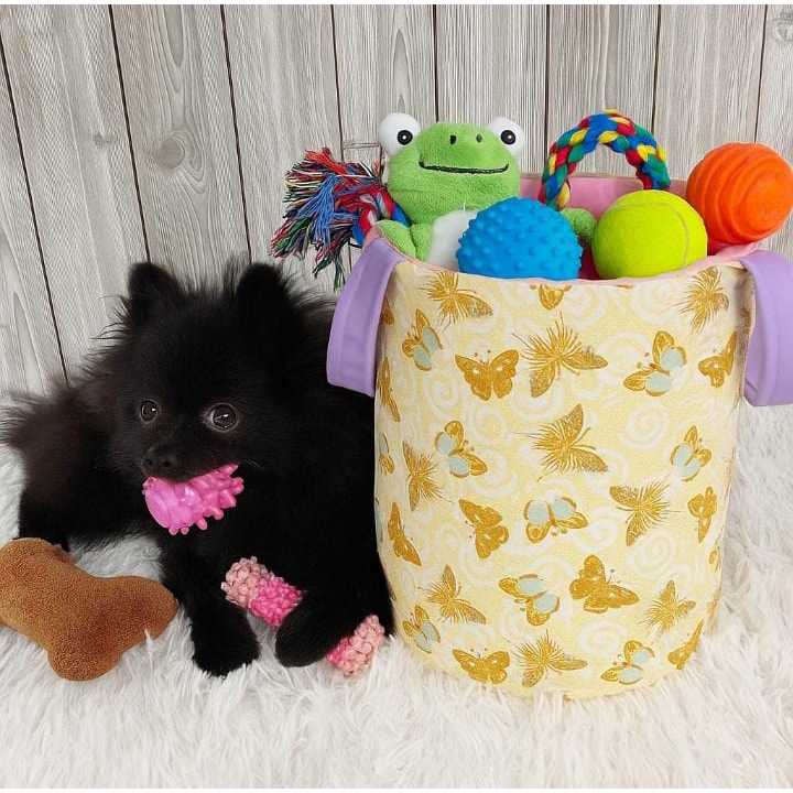 Cesto Organizador Pet Borboletas Guarda Brinquedos Desenho Caes Gatos Lavavel