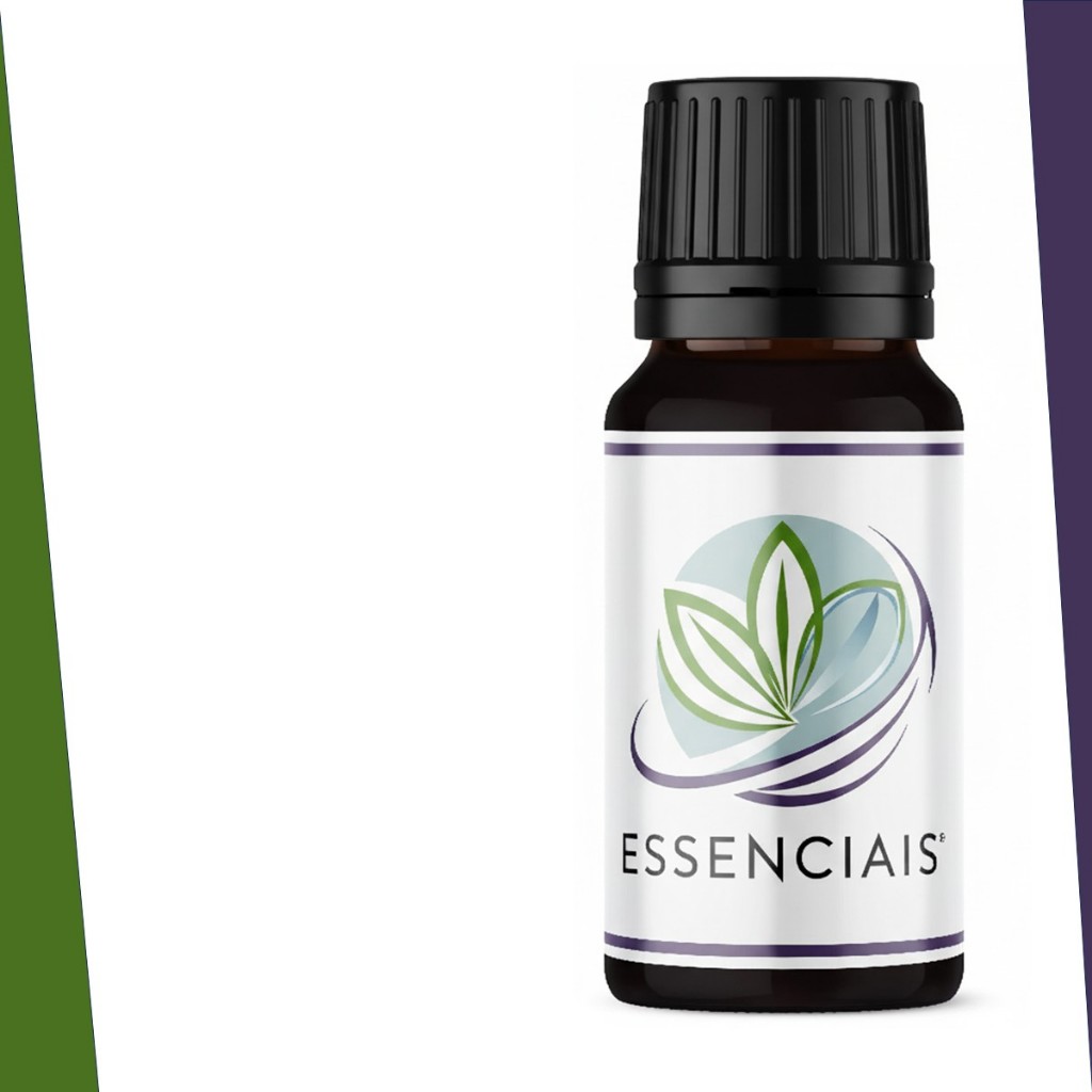 Essências Perfume 100ml | Prime | Concentradas | Alta Fixação