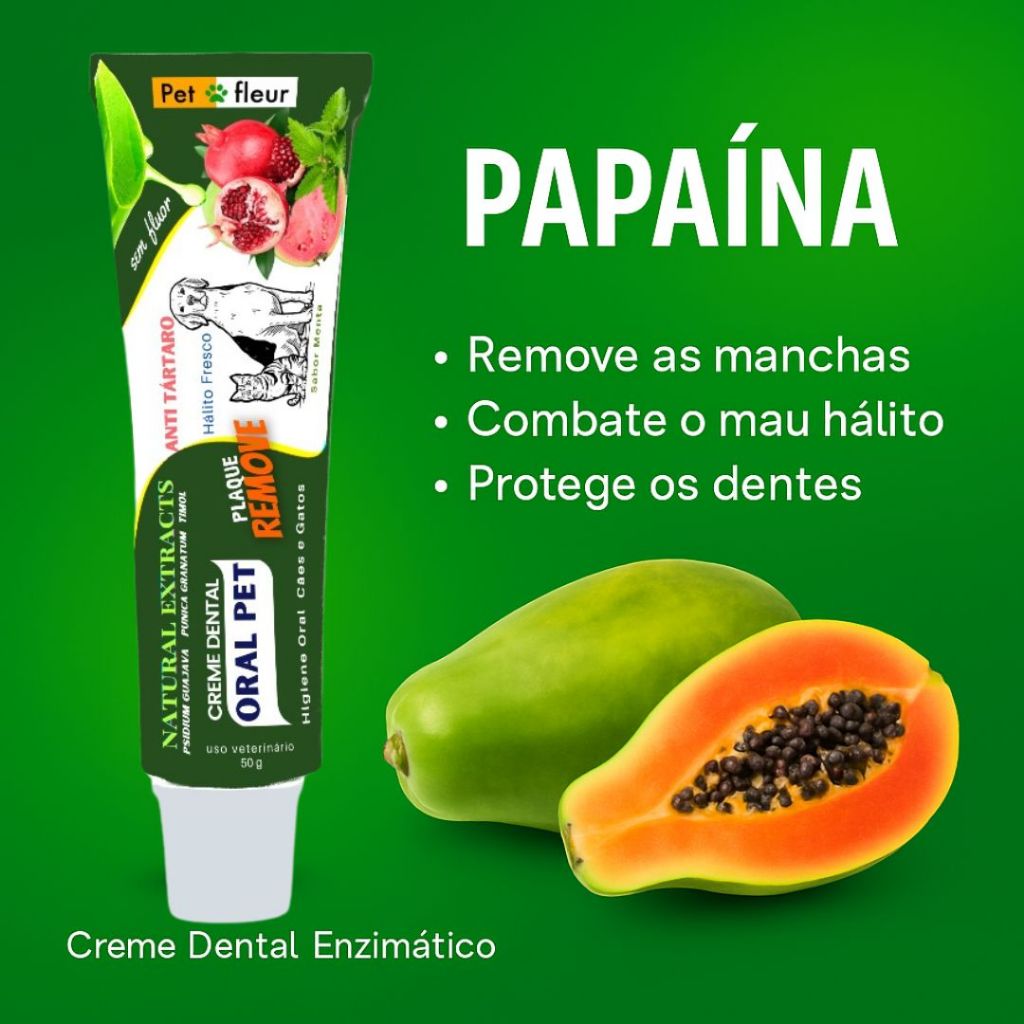Creme Dental Melhor: Onde Comprar | BuscaProdutos