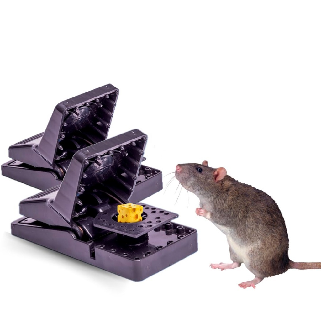 Ratoeiras Plasticas: Onde Comprar | BuscaProdutos