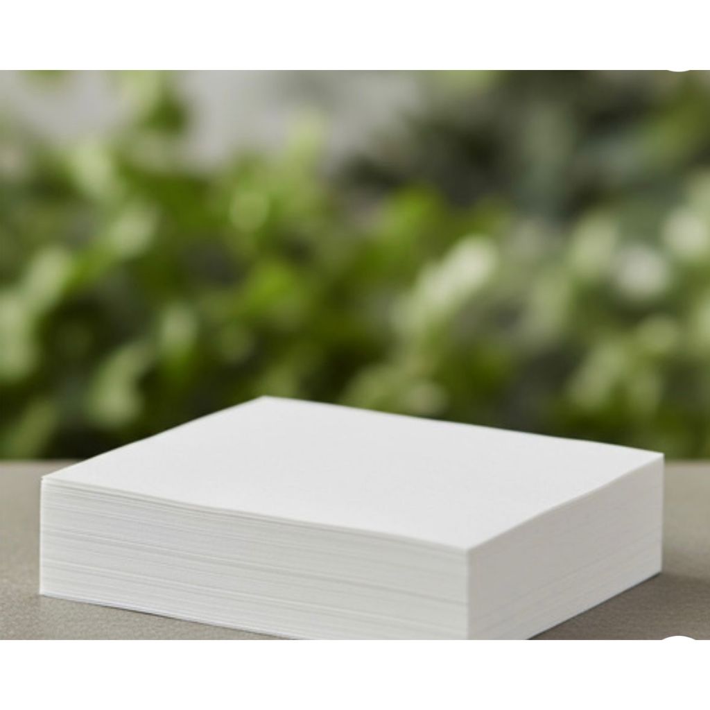 Papel para Germinação de sementes 28 Cm X 38 Cm 100 Folhas em Oferta na Shopee