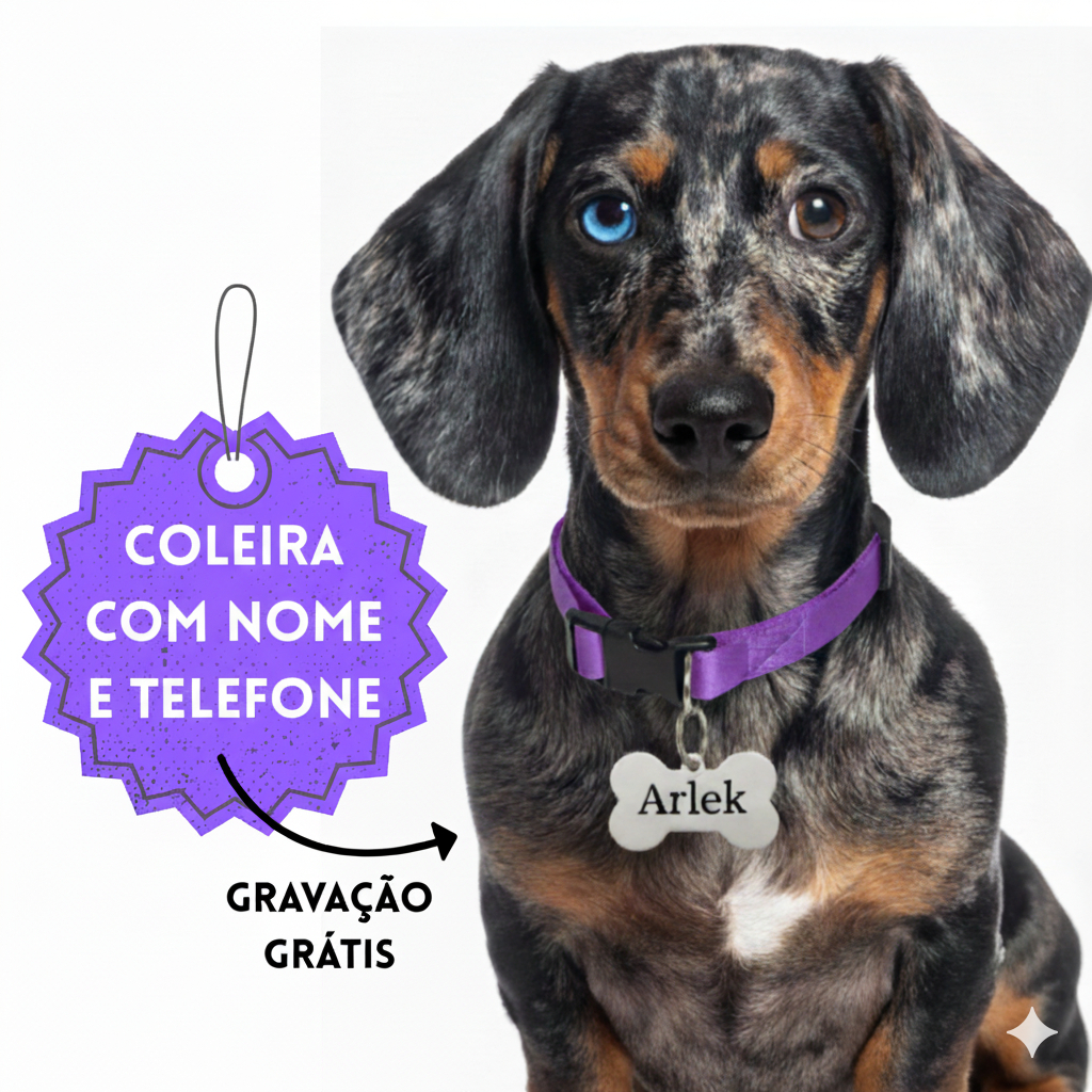 Coleira para Cachorro Pequeno e Médio com Nome e Telefone Personalizada em Oferta na Shopee