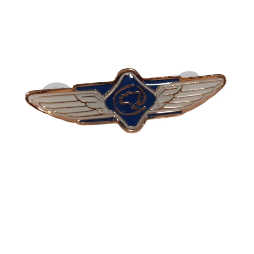 Breve Senasp: Guia Completo e Onde Comprar | BuscaProdutos