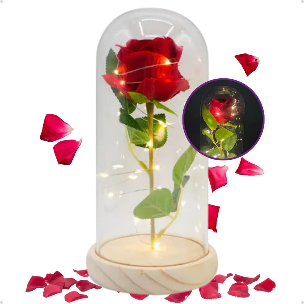 Rosa Encantada com Luz LED Cúpula Transparente Flor Eterna Decorativa e Presente Romântico Perfeito em Oferta na Shopee