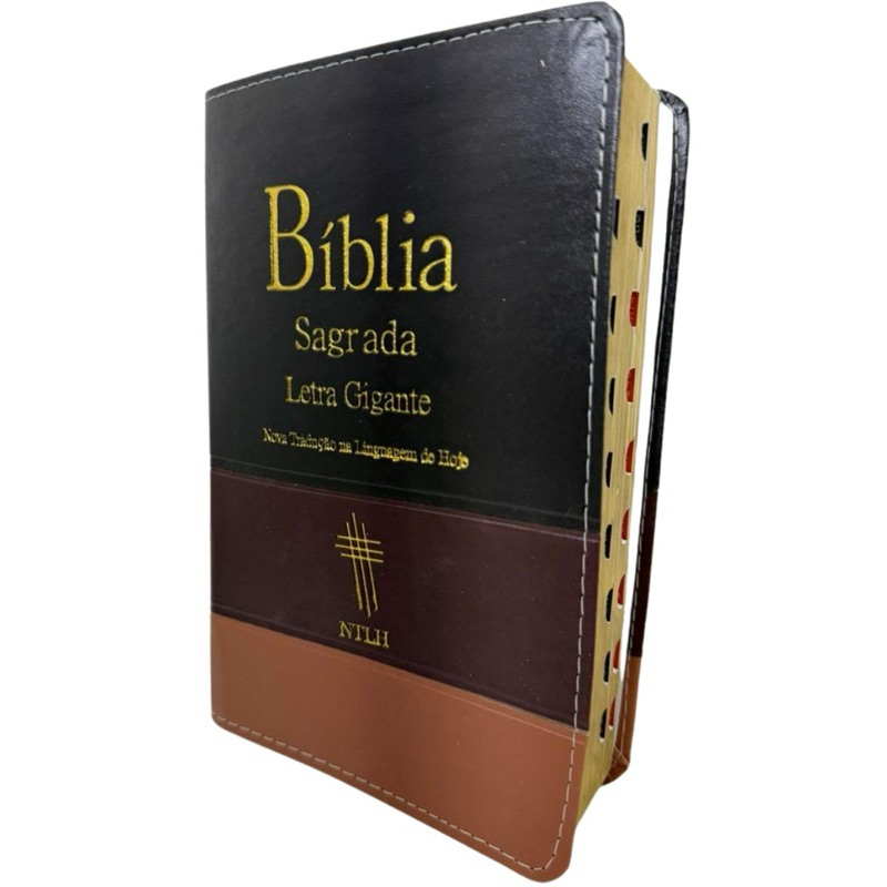 Bíblia Letra Gigante Linguagem Hoje: Onde Comprar | BuscaProdutos