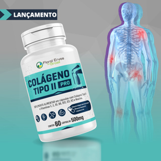 Colágeno Tipo 2 II 500mg 2 Meses de uso + Vitaminas C e B6 b1 B12 D3 K2 e Niacina - Articulções em Oferta na Shopee