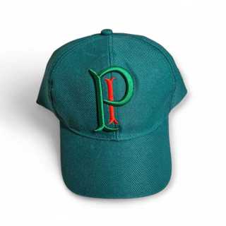 Boné Infantil Palmeiras Palestra Italia Aba Curva BONÉ PALMEIRAS PI Bordado em Oferta na Shopee