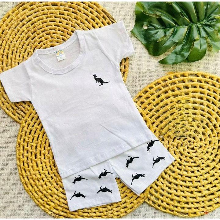 O que é Canguru Bebê 6 Meses? Guia e Onde Comprar | BuscaProdutos