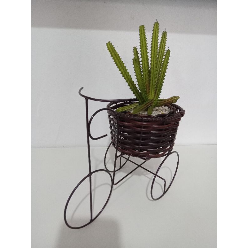 Bicicleta De Ferro com Cachepot para Plantas - Floreira Vaso para Suculentas