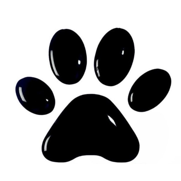 Adesivo 3D Resinado Patinhas de cachorro com 4 unidades - Varias Cores - 3004 em Oferta na Shopee