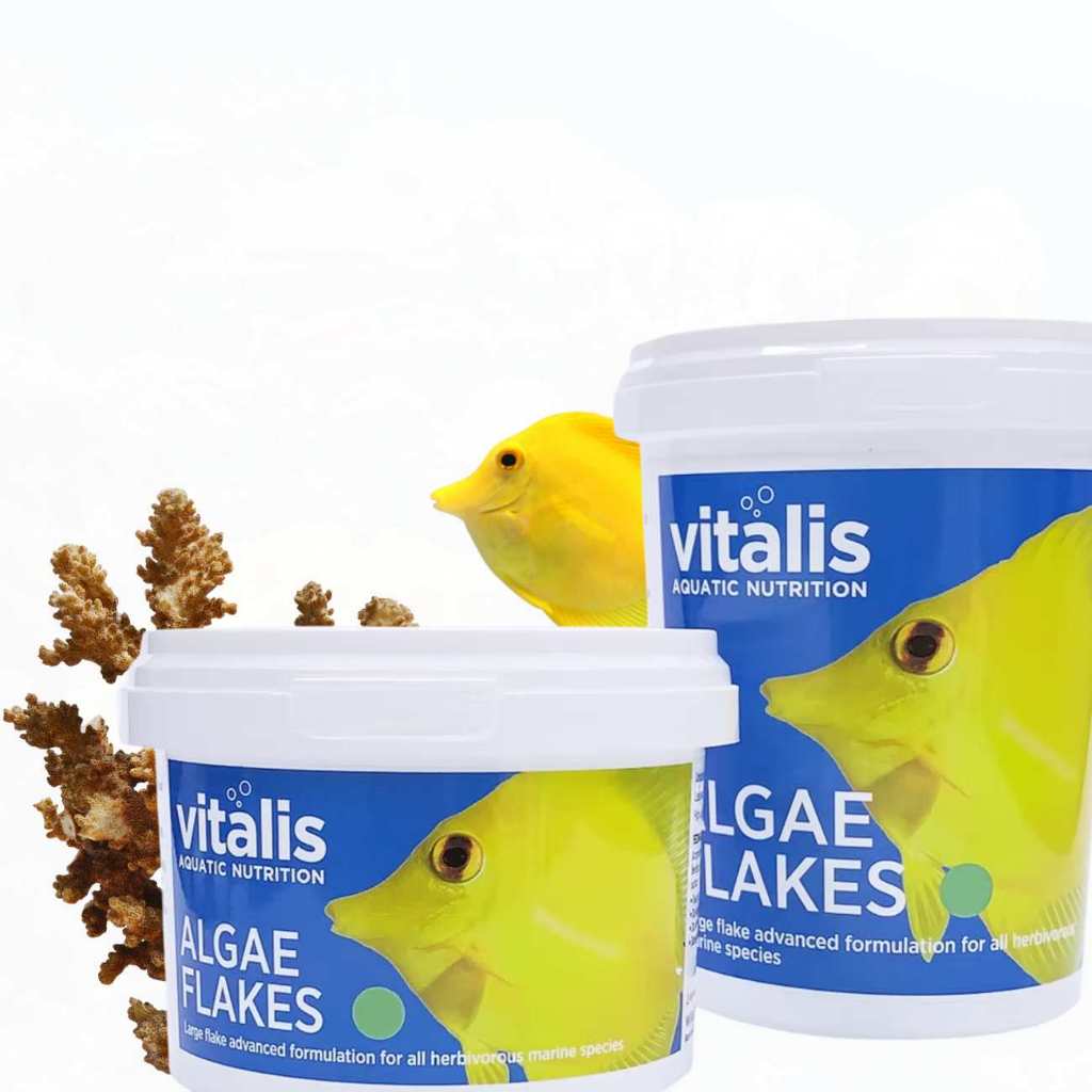 Ração Vitalis Algae Flakes Flocos Para Peixes Marinhos 40g