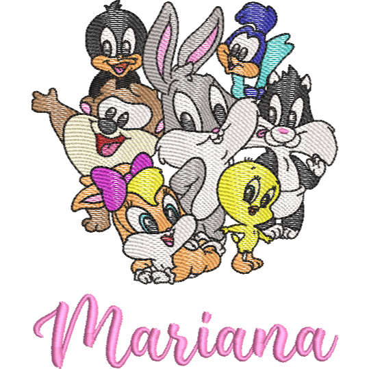 Patch Bordado Termocolante Turminha Looney Tunes e Nome Vr06 em Oferta na Shopee
