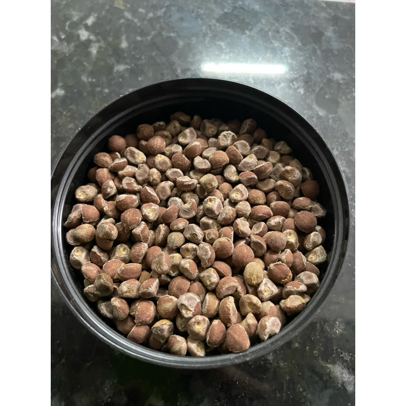 15 Sementes de Argyreia Nervosa em Oferta na Shopee