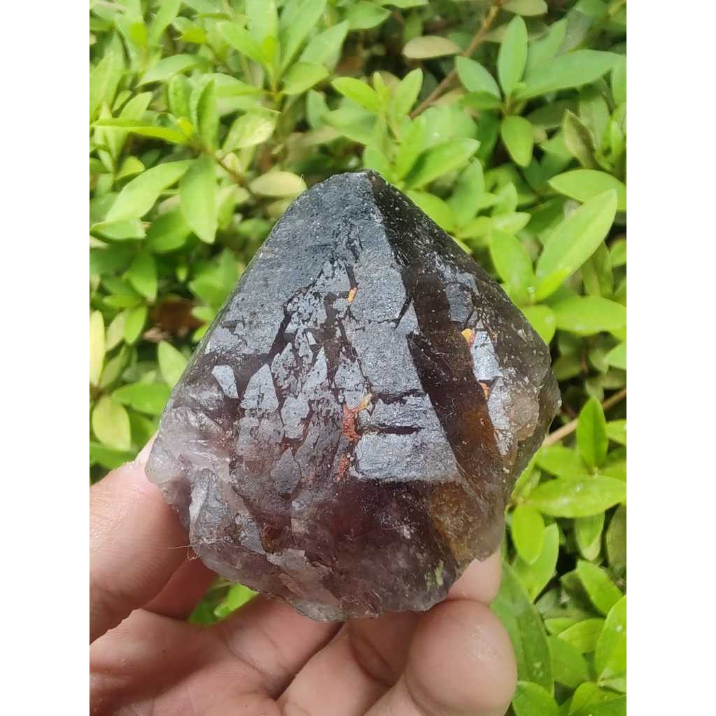 Ametista Natural Super Seven Cacoxenites - Ponta Bruta com pesos de 120 a 150 Gr. Altura de 7/8 cm.