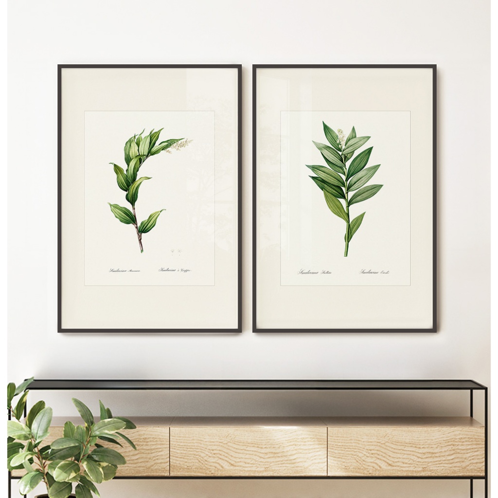 2 Quadros Decorativos COM/SEM Moldura Sala Quarto Escritório Floral e Botânica Folhagens Clássicas em Oferta na Shopee