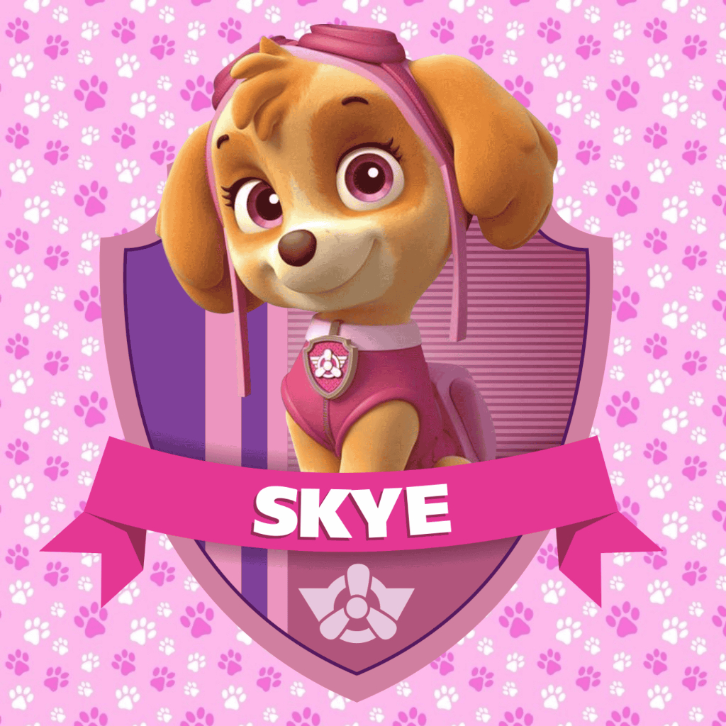 🐾 Adesivo para Mesa Infantil – Tema Skye Patrulha Canina | 50x50 e 60x60 cm | Modelos Exclusivos em Oferta na Shopee