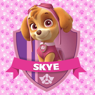 🐾 Adesivo para Mesa Infantil – Tema Skye Patrulha Canina | 50x50 e 60x60 cm | Modelos Exclusivos em Oferta na Shopee
