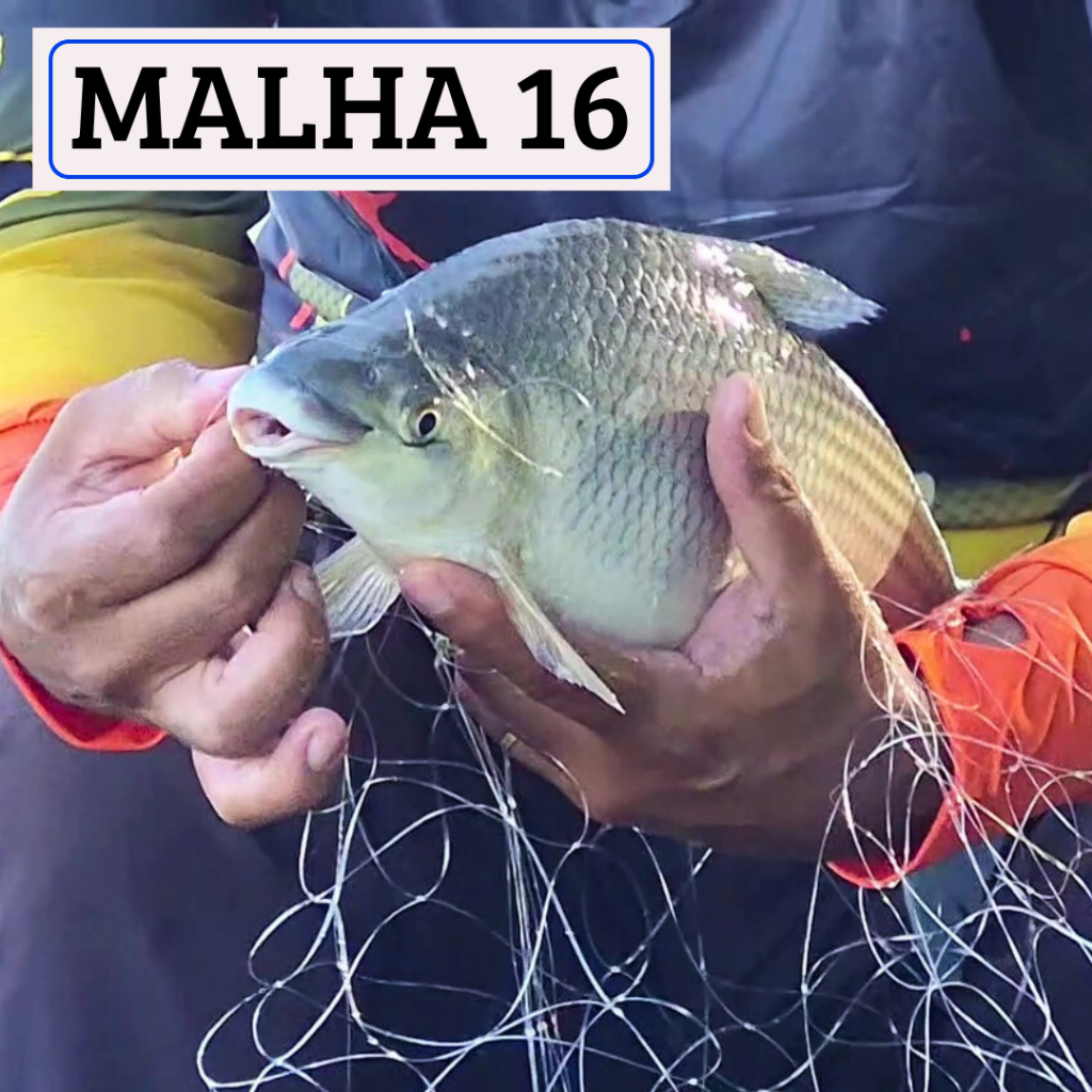 KIT 03 Redinhas para PESCA com vara MALHA 16 Armadilha para Peixes em Oferta na Shopee