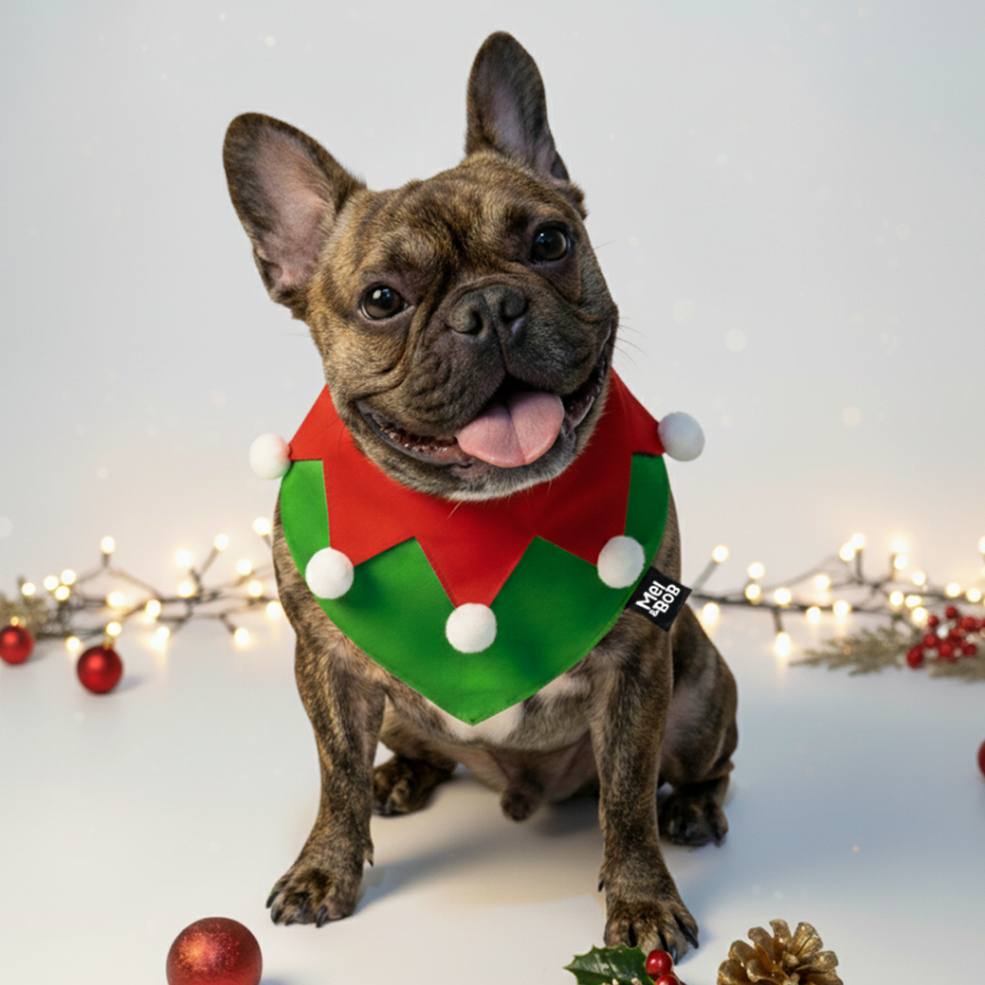 Duende de Natal: Onde Comprar | BuscaProdutos