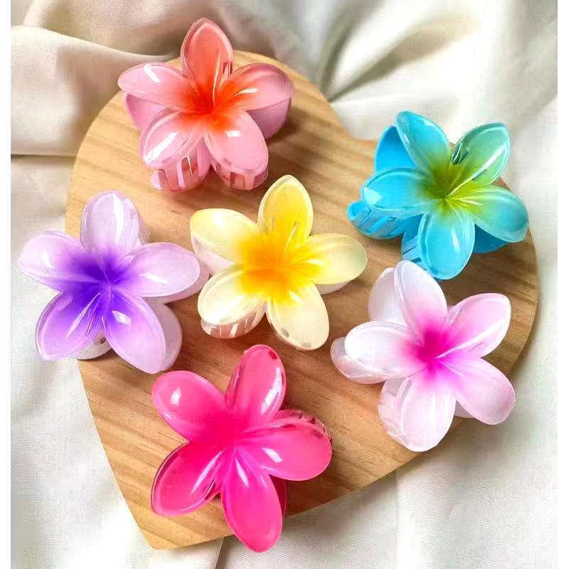 Kits até 12 peças – Grampos/Piranhas de Cabelo Flor de Feriado de Praia eviamos cor aleatrio em Oferta na Shopee
